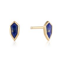 ANIA HAIE Ear Studs Second Nature E042-01G-L